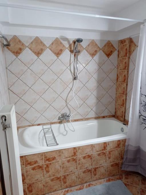 Trikala Alex House Apartment Luaran gambar