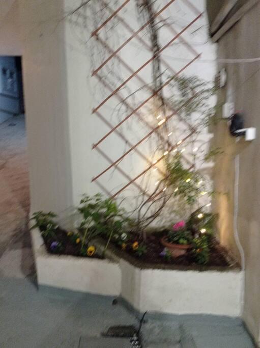 Trikala Alex House Apartment Luaran gambar
